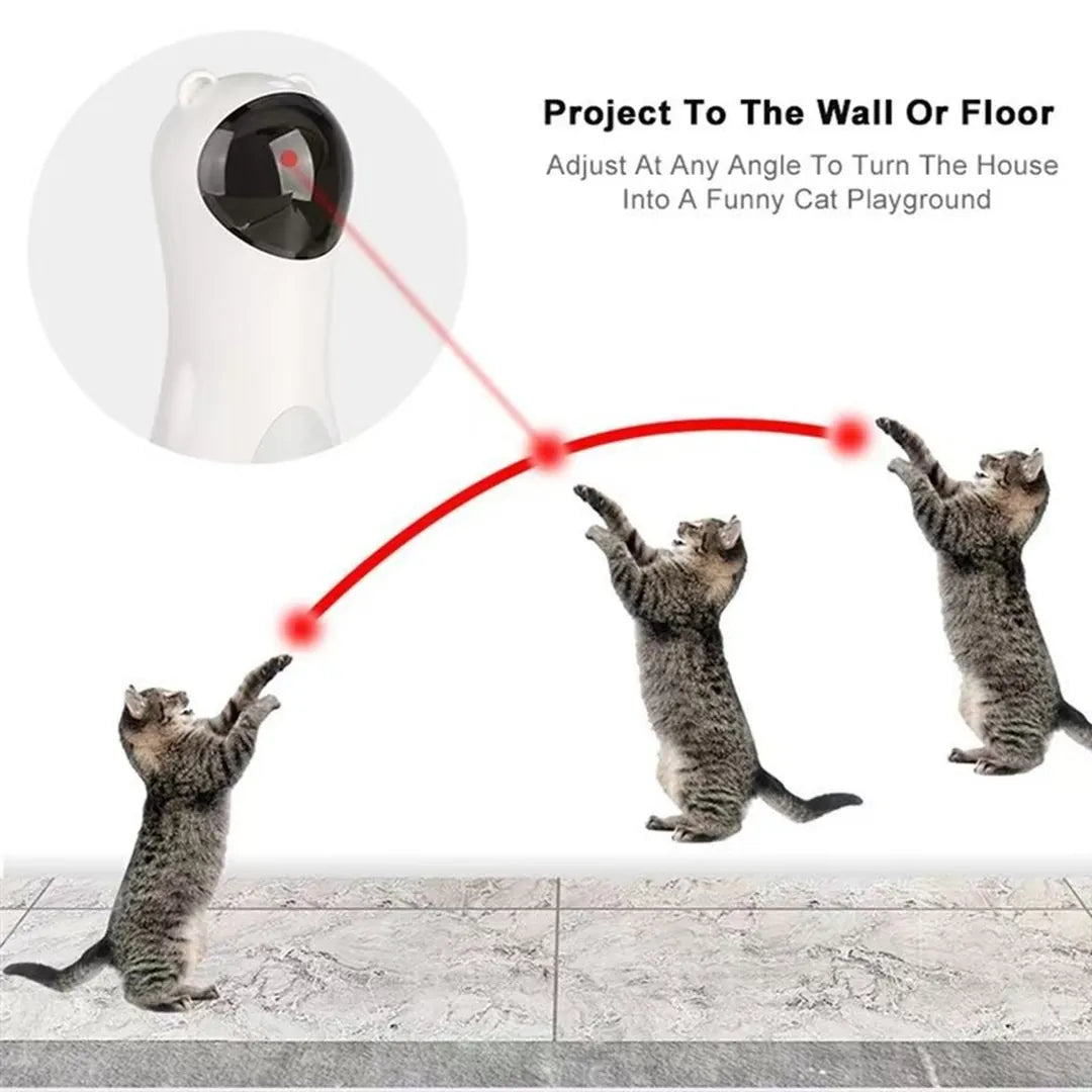 PawChase™  Laser🐾