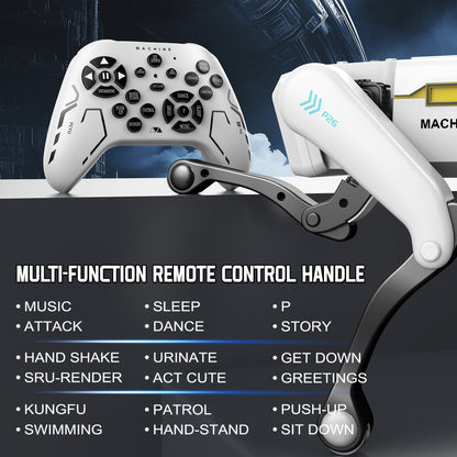 description_selected8