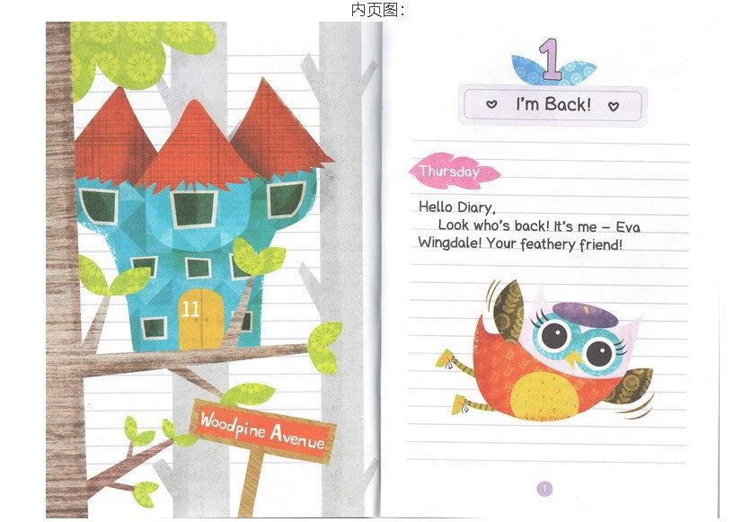 description_selected6