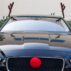description_selected11