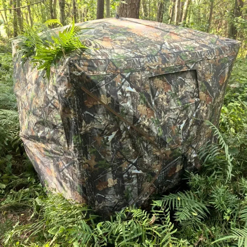 360° One-Way Camo Tent rear-side exterior blending into ferns and sunlit forest vegetation