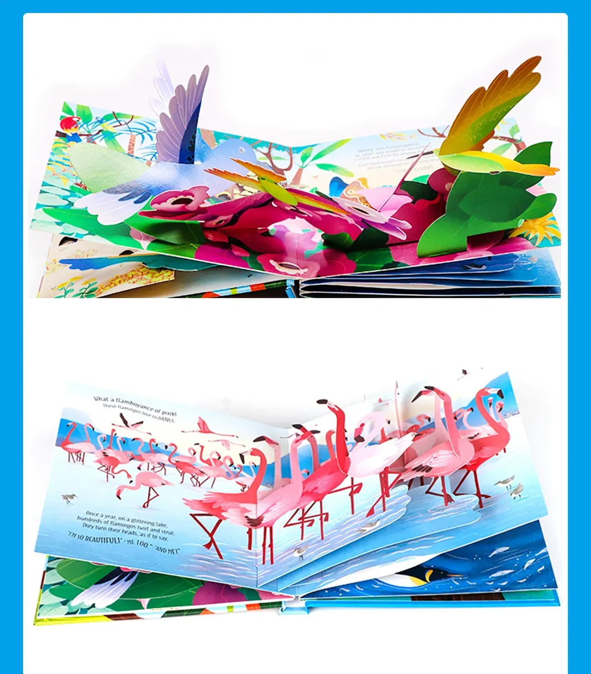3D Pop-Up Birds Book