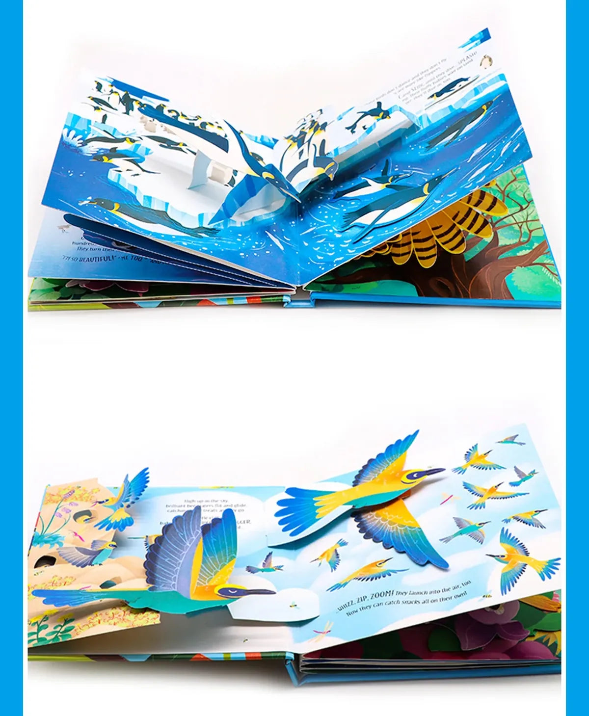 3D Pop-Up Birds Book