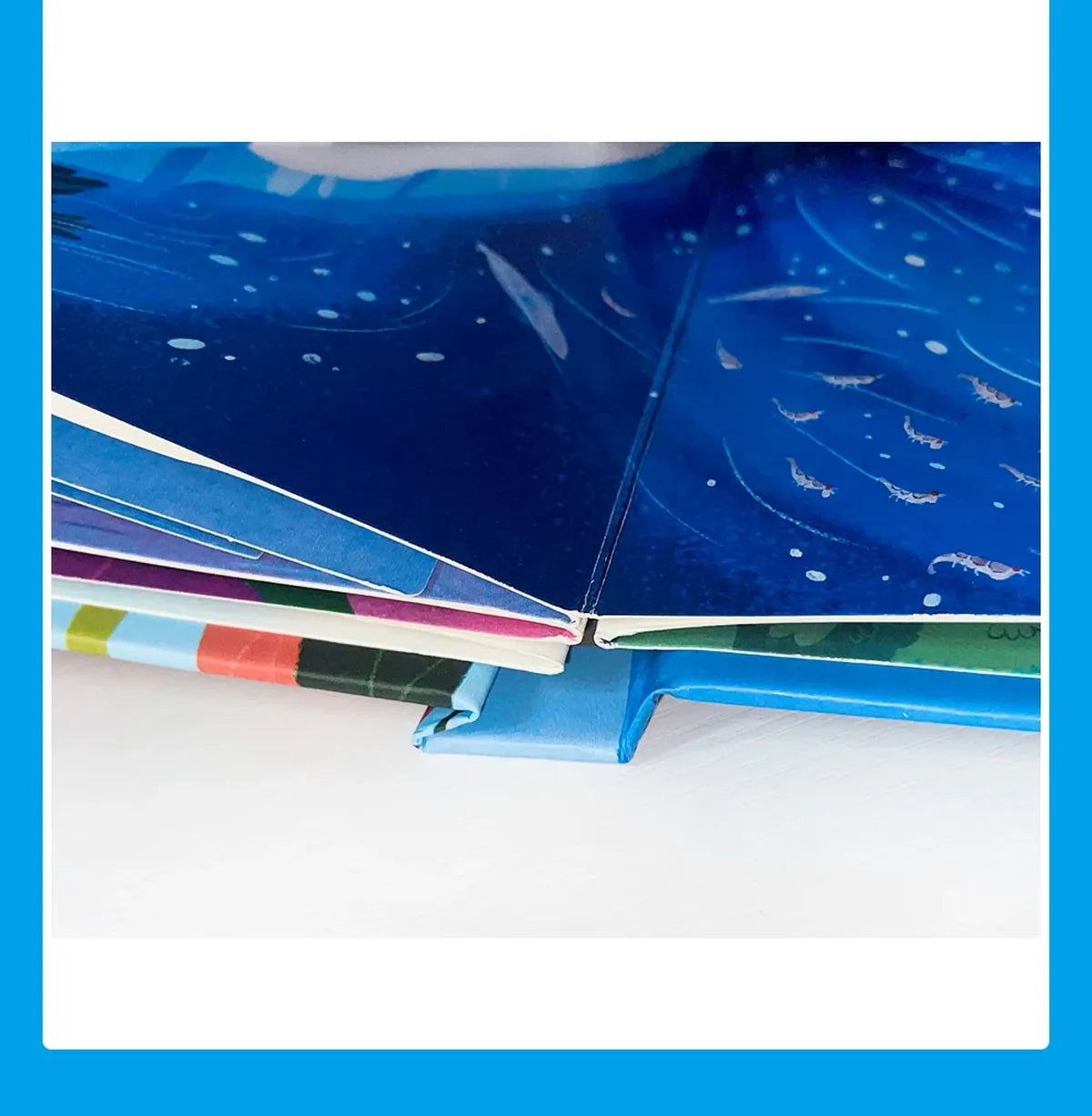 3D Pop-Up Birds Book