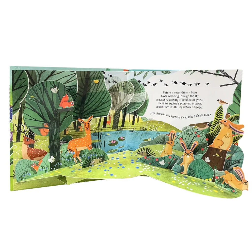 3D Pop-Up Nature Book