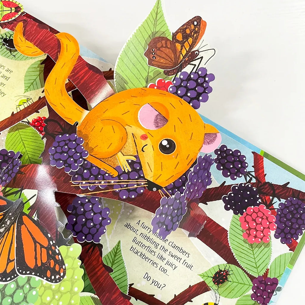 3D Pop-Up Nature Book