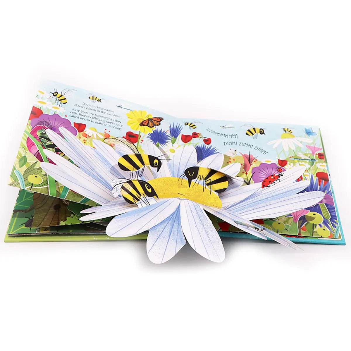 3D Pop-Up Nature Book