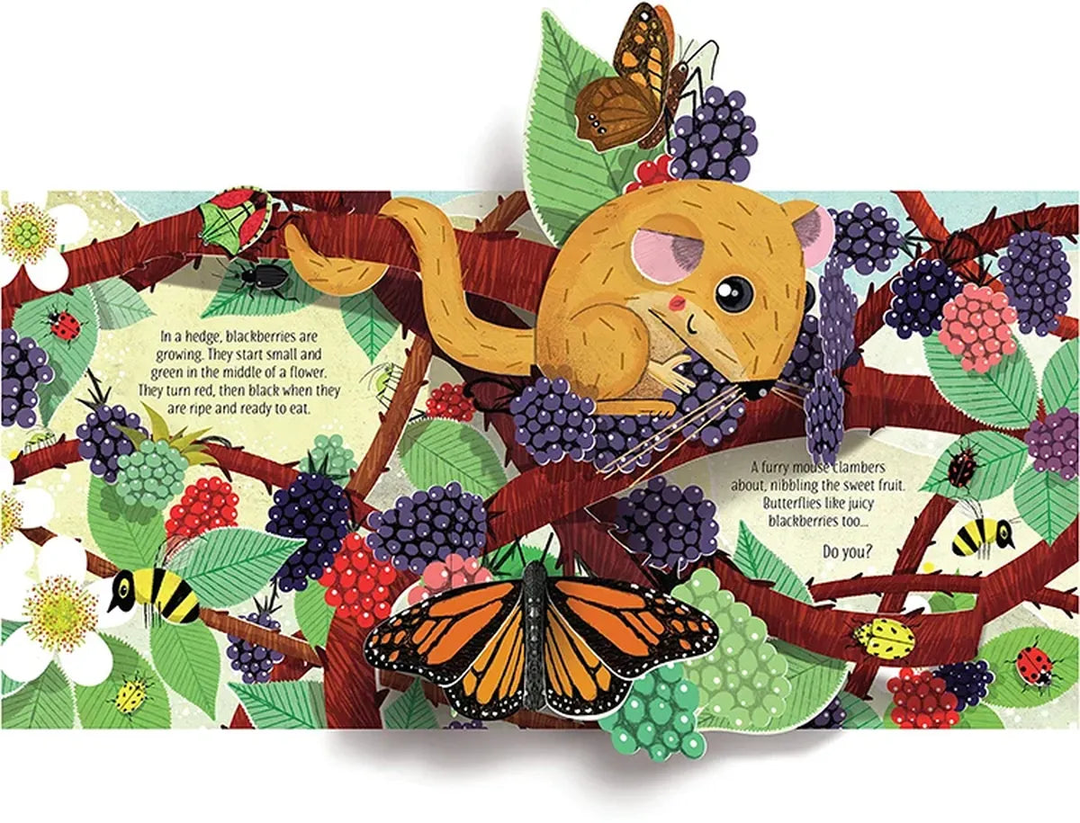 3D Pop-Up Nature Book