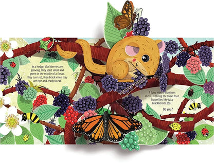 3D Pop-Up Nature Book