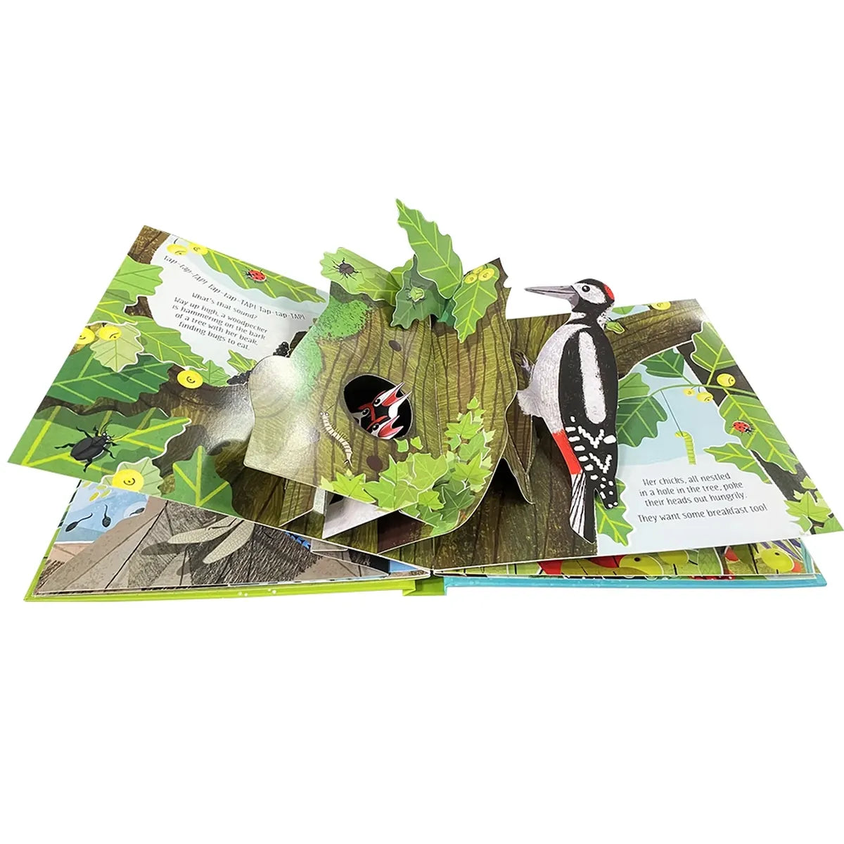 3D Pop-Up Nature Book