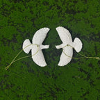 Variant Image