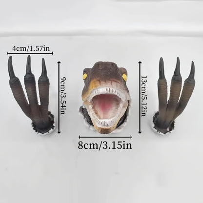 image6