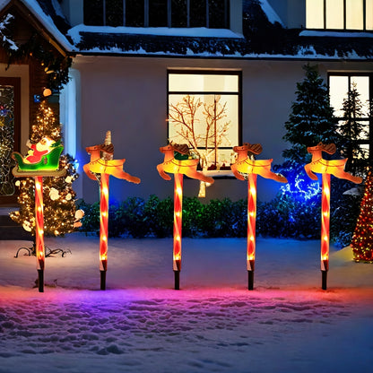 description_selected5