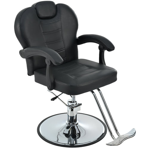 Salon Barber Chair