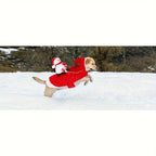 description_selected12