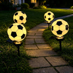 description_selected6