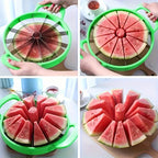 description_selected5