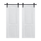 Modern Barn Doors