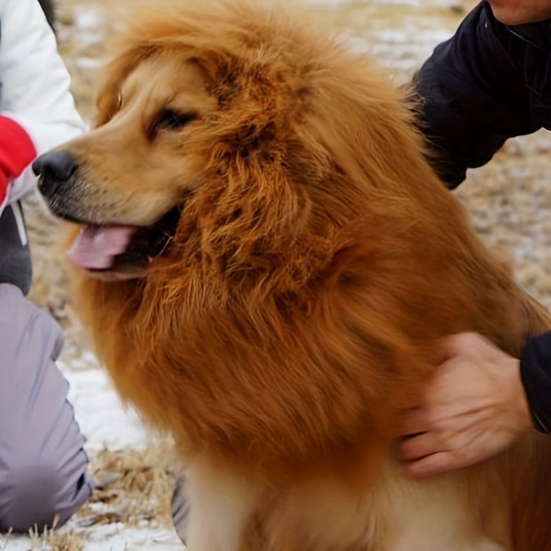 Golden retriever wearing HighPeak Lion Mane Dog Costume with fluffy brown mane, displaying realistic lion appearance outdoors