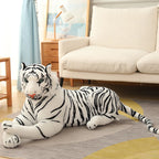 description_selected12