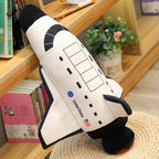 description_selected10