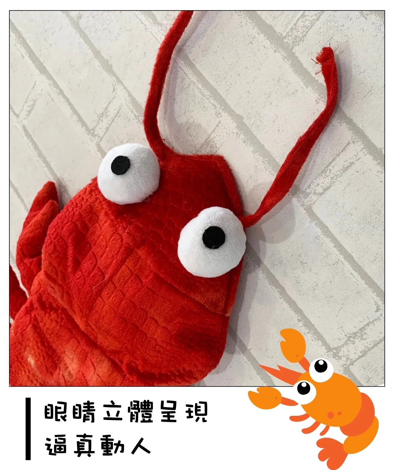 image11