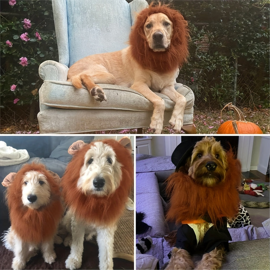 HighPeak Lion Mane Dog Costume shown on various dogs lounging and posing, featuring brown furry mane transforming pets into regal lions