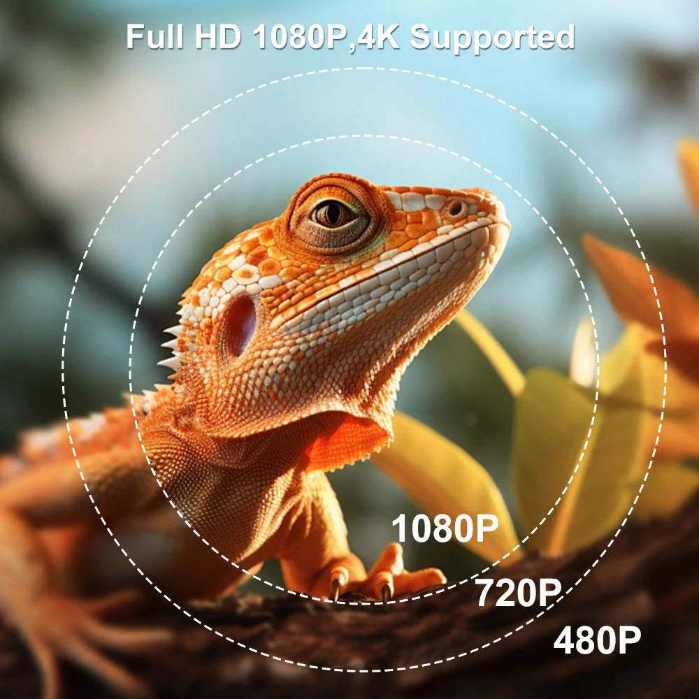 HighPeak OrbitX smart projector showcasing 4K resolution capability with lizard demo image in circular display format