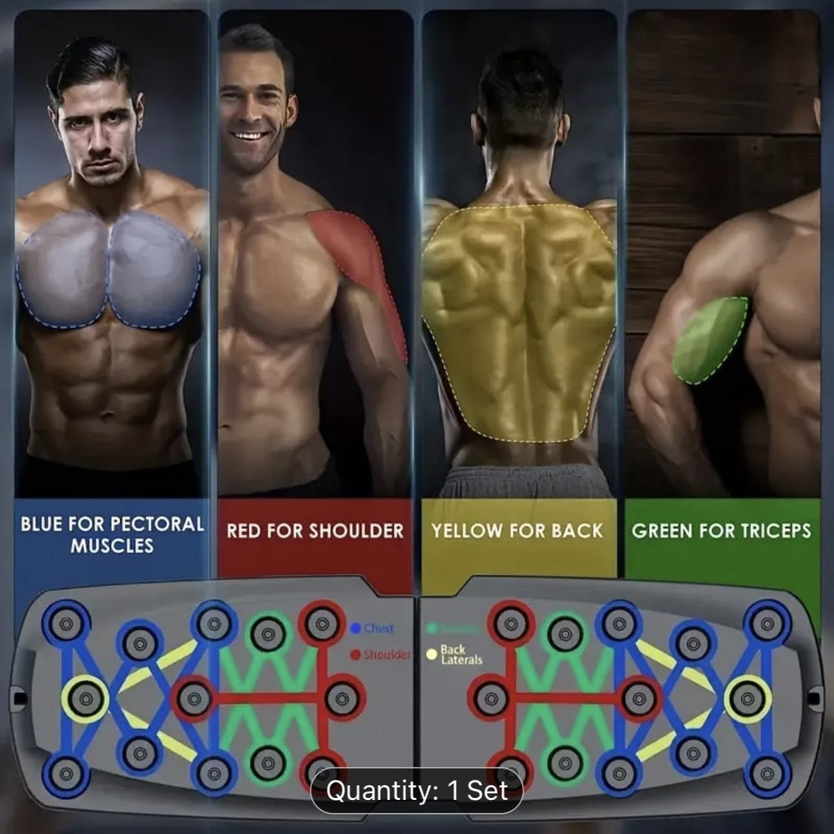 SolidPush™ Push-Up Board with color-coded positions demonstrating targeted muscle groups for chest, shoulders, back, and triceps.