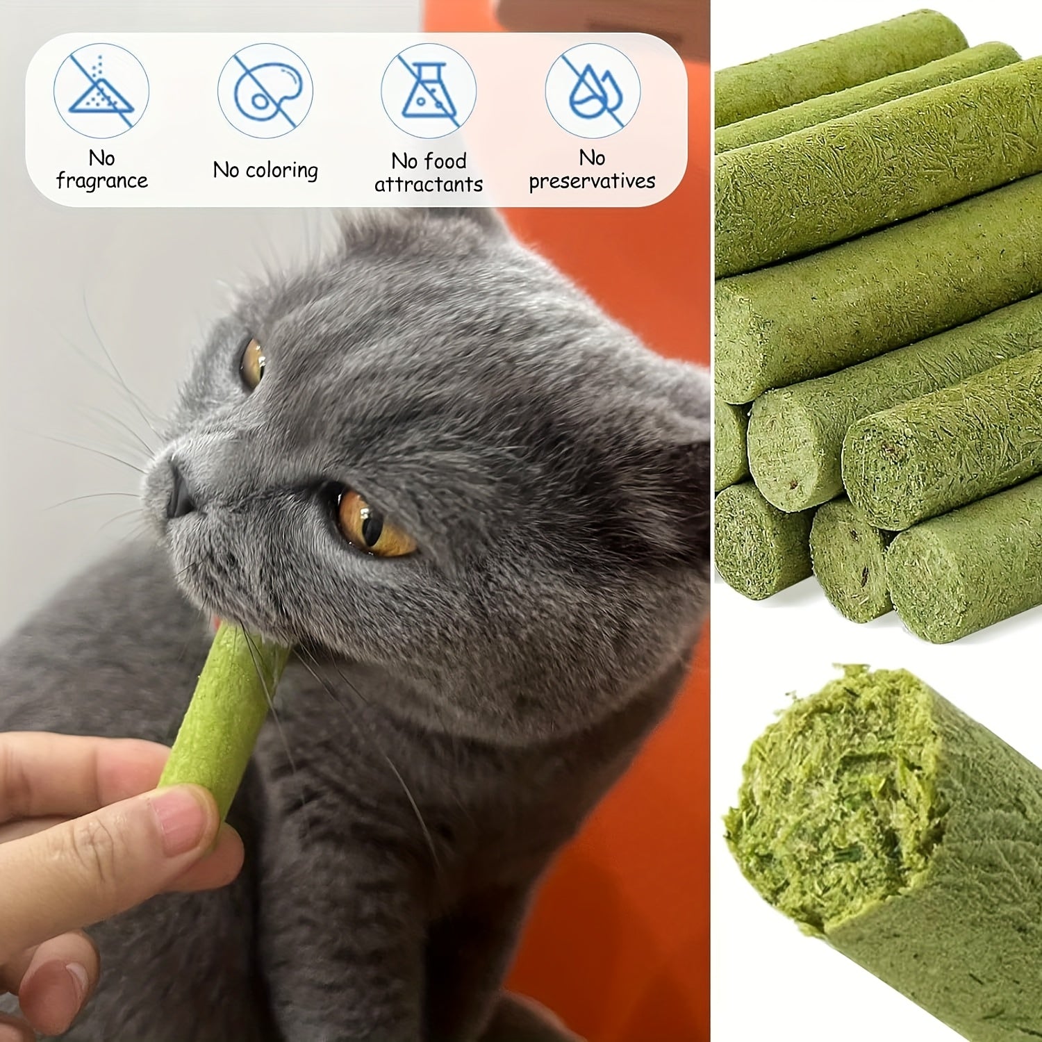 Natural green cat grass chew sticks with gray cat demonstrating use - healthy dental treat for feline wellness