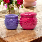 Honey Pot Dog Toy