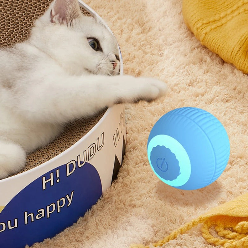 PounceBall smart cat toy in blue glowing sphere with white cat playing on plush carpet - interactive pet entertainment
