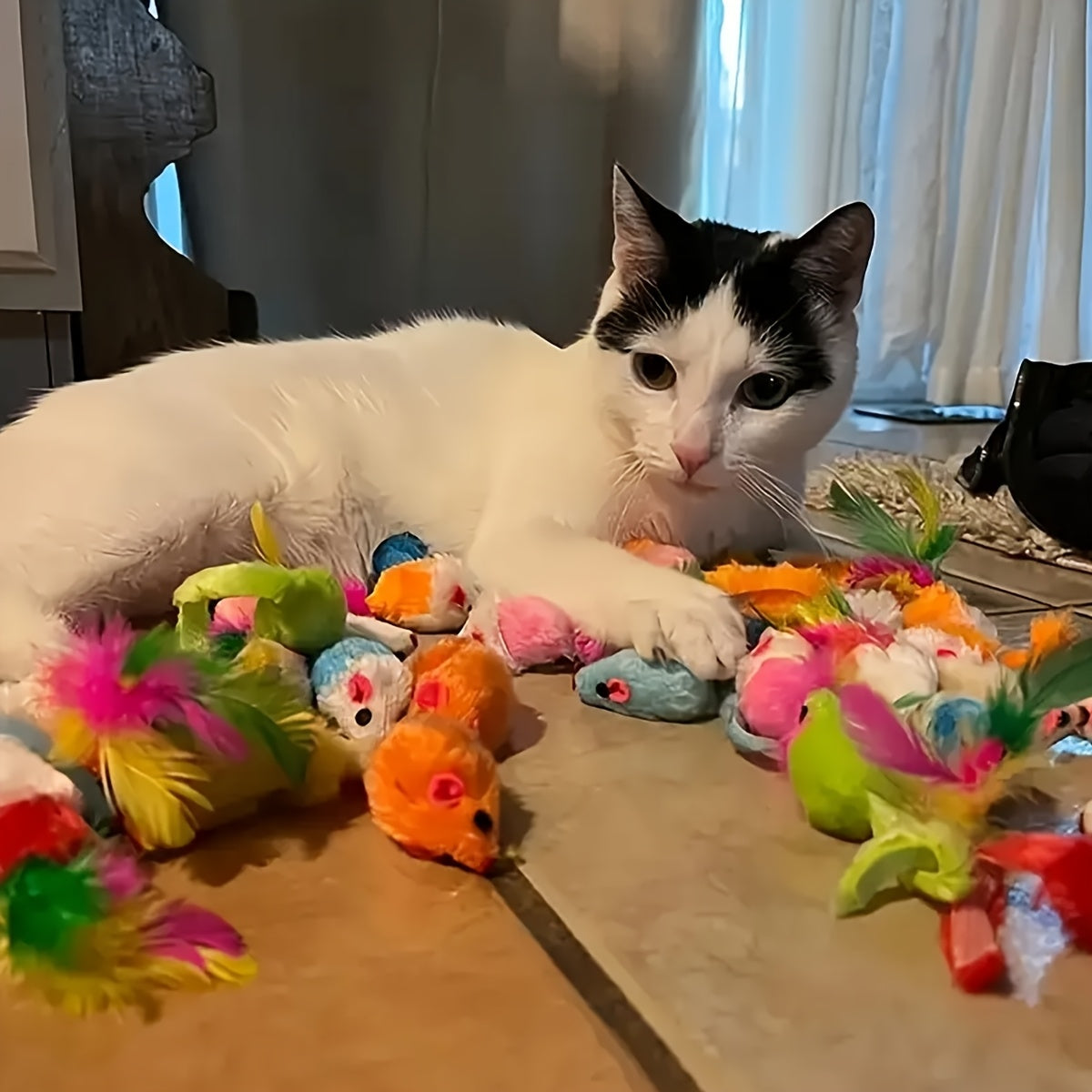 PurrPlay cat toy collection displayed with black and white cat lounging among colorful feathered and plush mouse toys