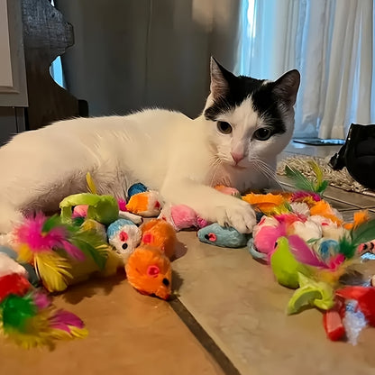 PurrPlay cat toy collection displayed with black and white cat lounging among colorful feathered and plush mouse toys