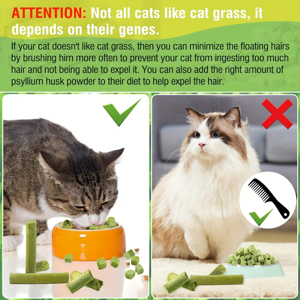 Purrfectly Natural cat grass chew sticks with orange bowl, showing tabby cat eating and alternative grooming solution