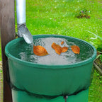 description_selected5