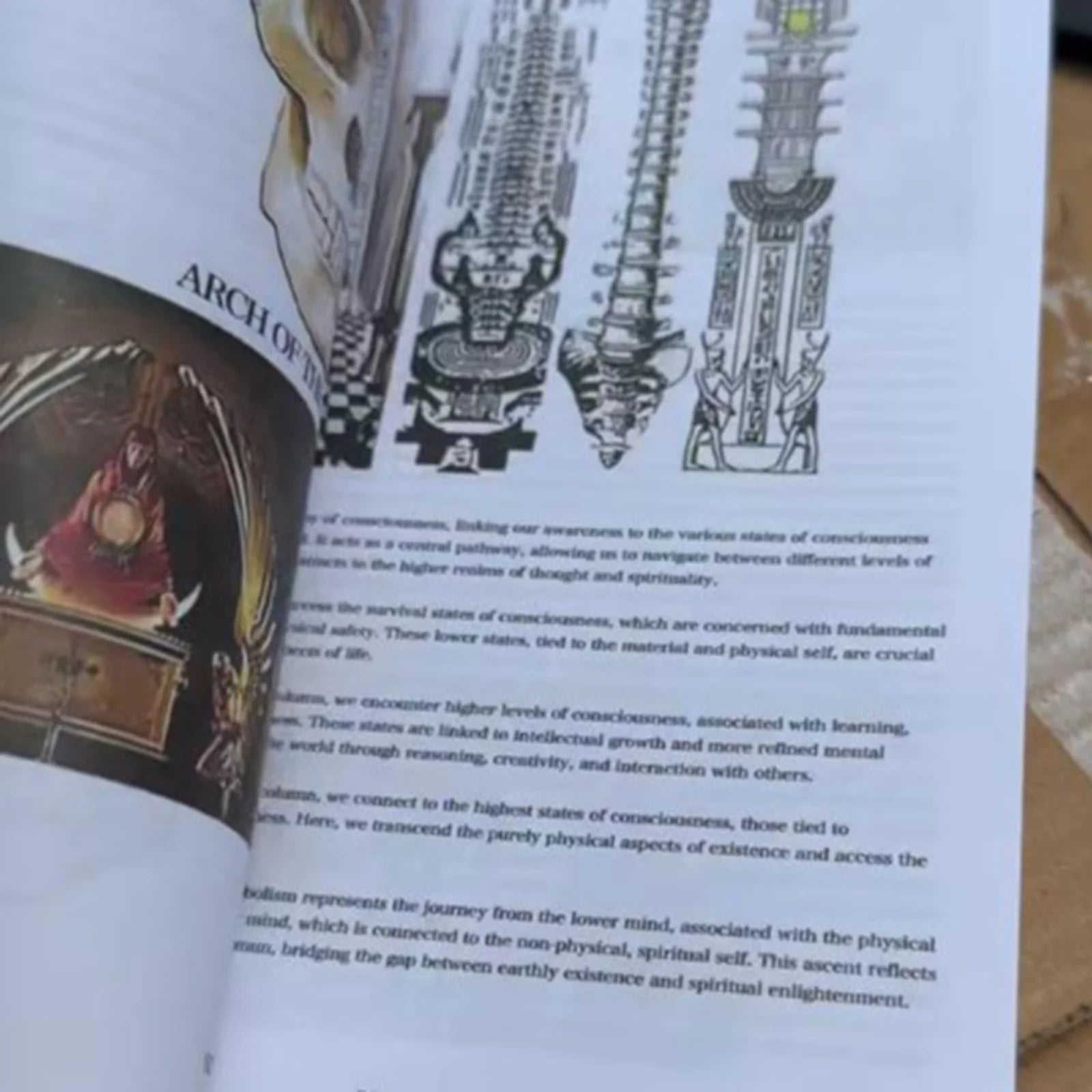 description_selected3