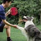 description_selected2