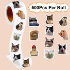 description_selected6