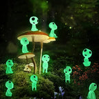 description_selected0