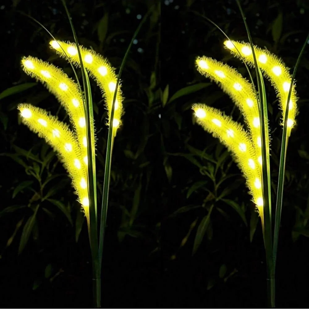 description_selected2