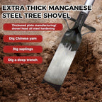 description_selected11