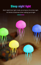 description_selected13
