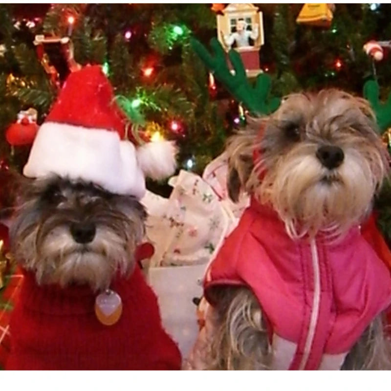 description_selected10