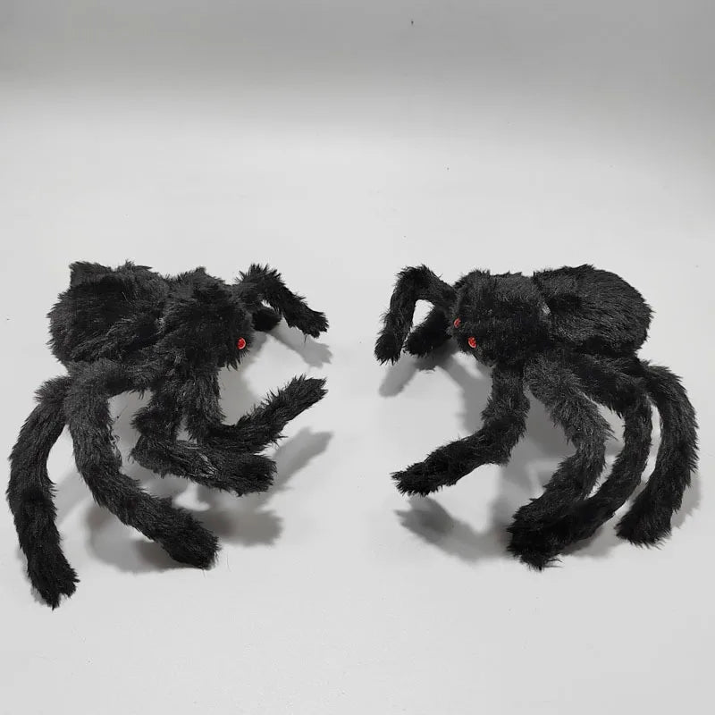 image16