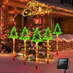 description_selected6