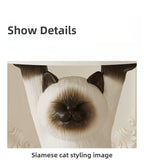 description_selected19