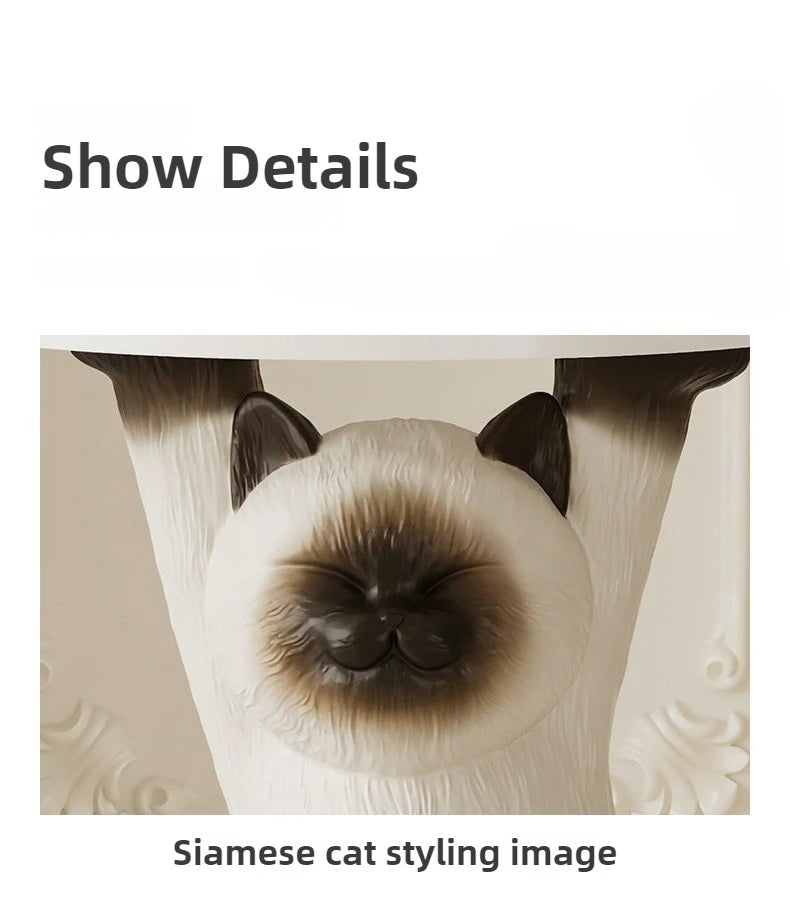 description_selected19