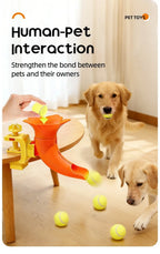 description_selected11