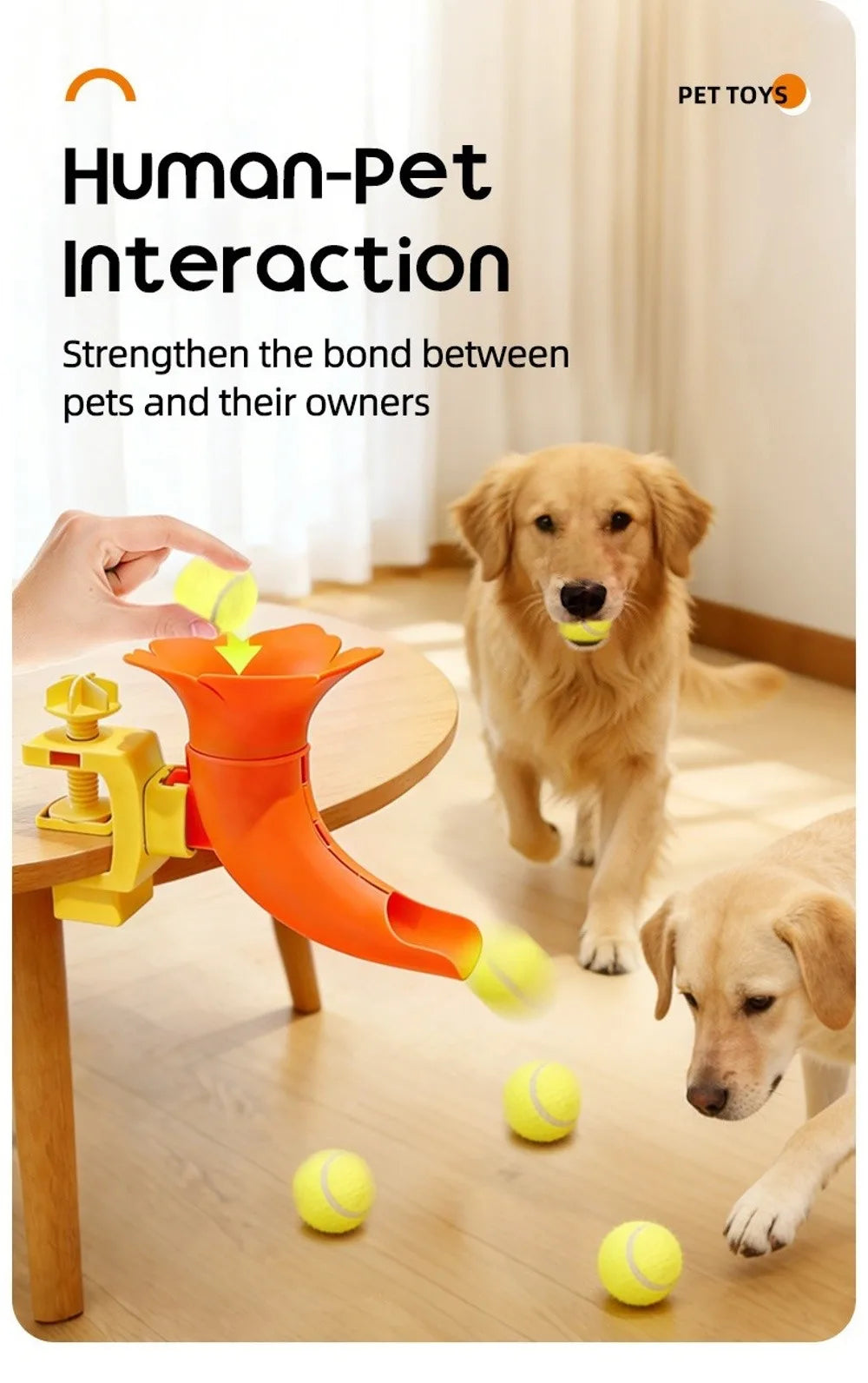 description_selected11